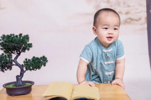 赤壁可爱的企鹅宝宝
